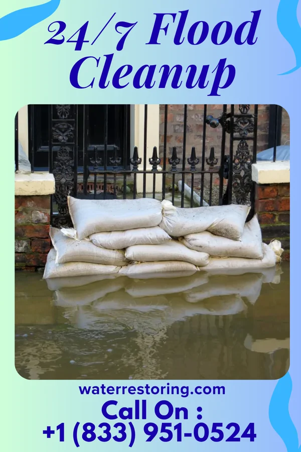 24/7 Flood Cleanup in Branchville, NJ