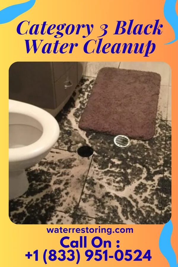 Category 3 Black Water Cleanup in Branchville, NJ