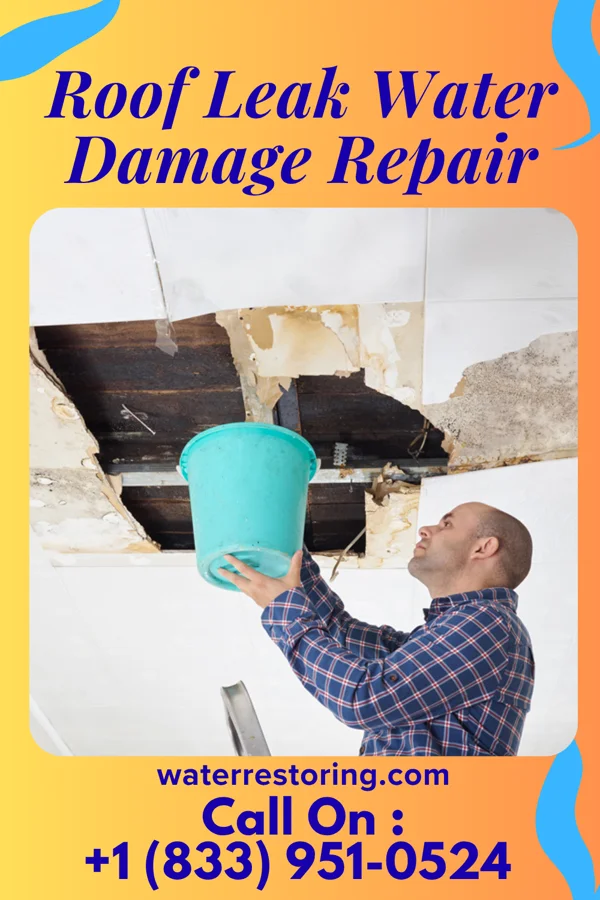 Roof Leak Water Damage Repair in Branchville, NJ