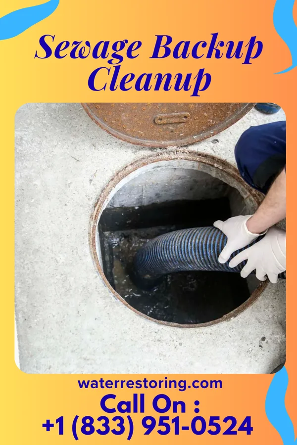 Sewage Backup Cleanup in Branchville, NJ