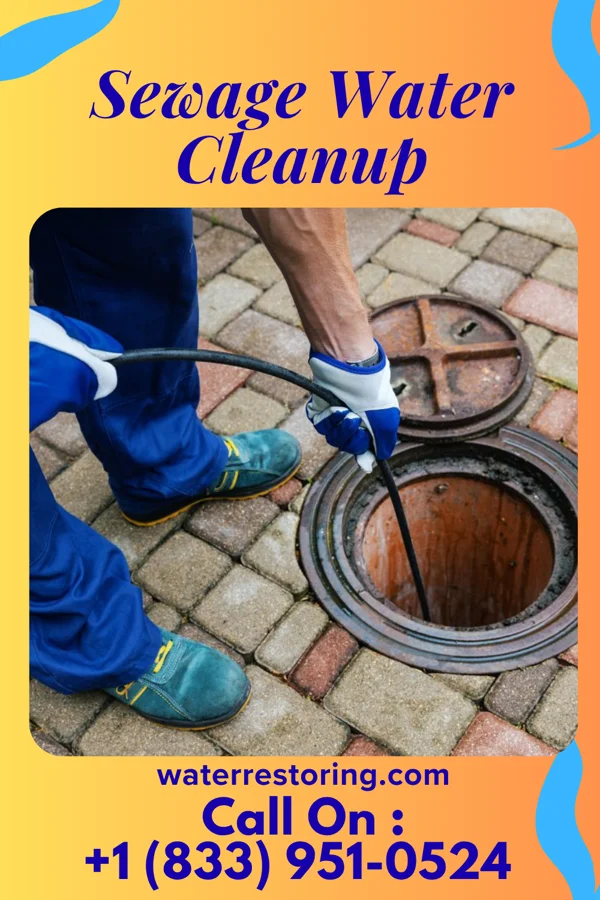 Sewage Water Cleanup in Branchville, NJ