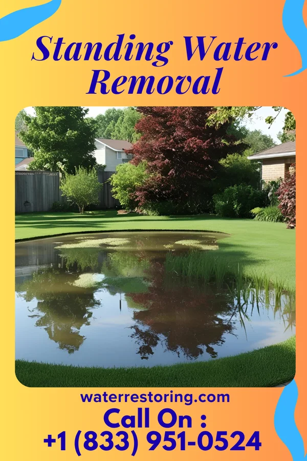 Standing Water Removal in Branchville, NJ